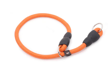 Durable Nylon Dog Training Collar for All Breeds (Single)