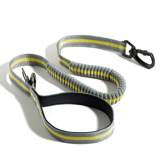 Fluorescent Retractable Dog Leash with Safety Features